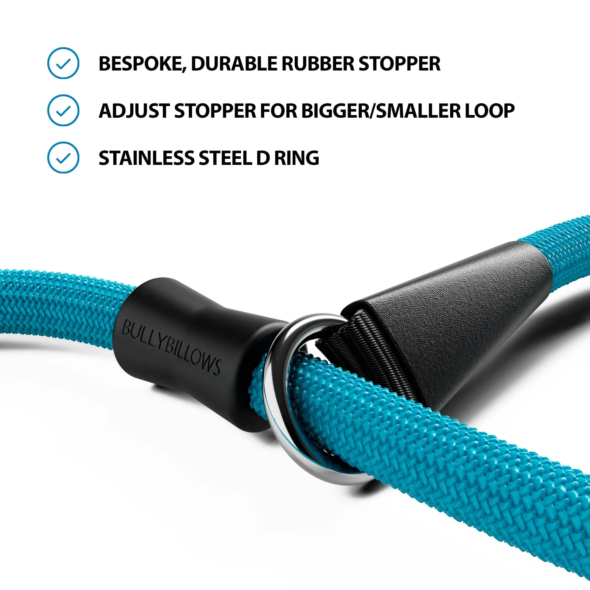 Slip Training Lead | Anti Pull & No Choking -  Light Blue