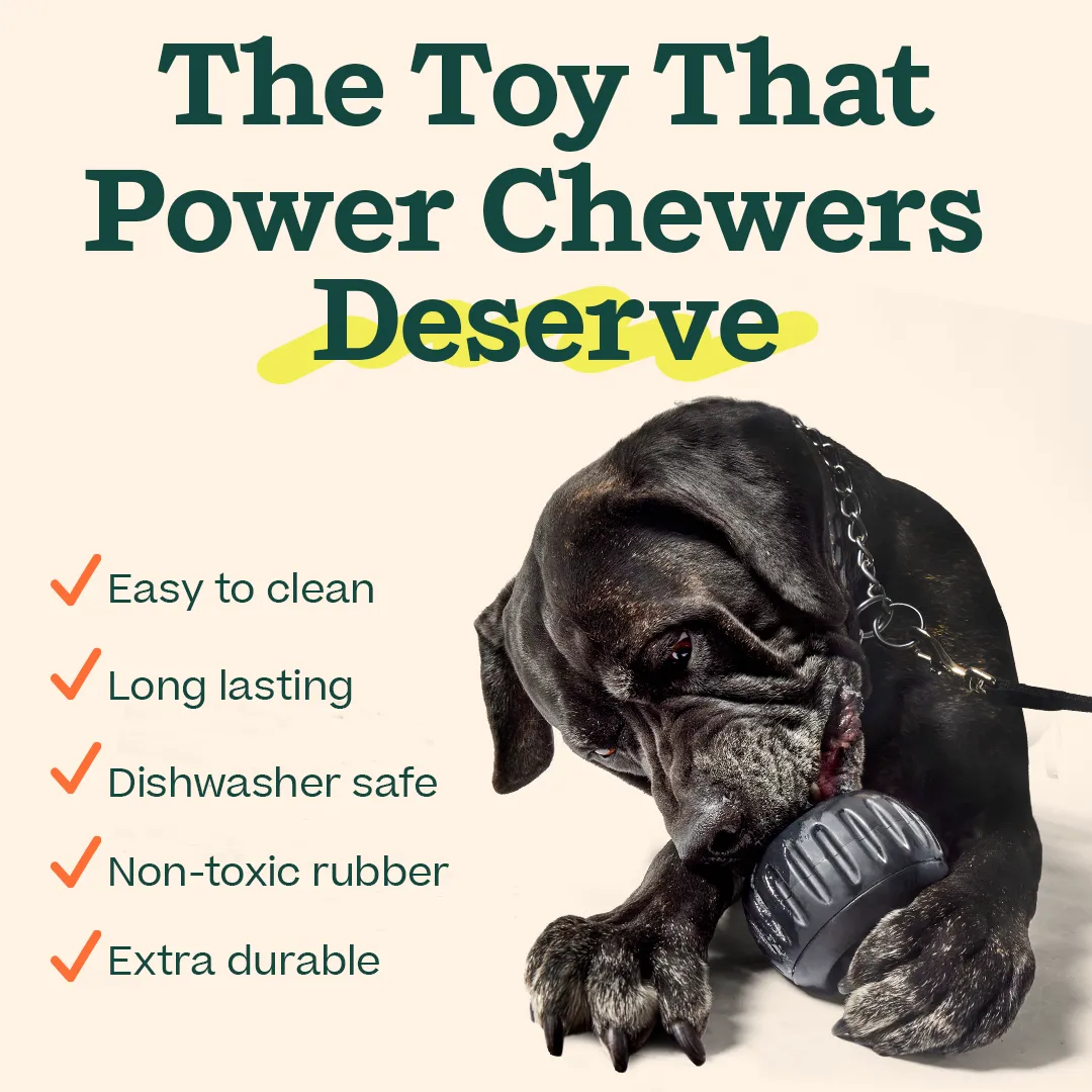 The 'Power Chewer' Pupsicle by Woof