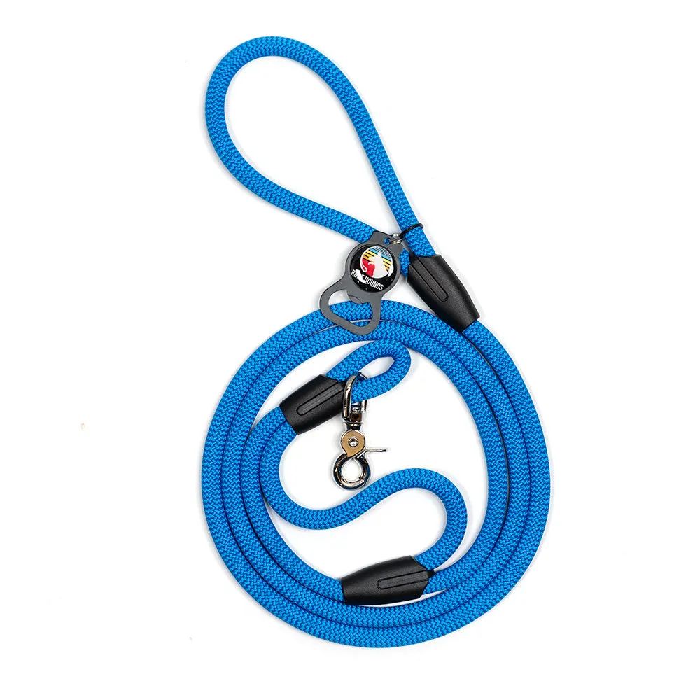 Urban Handle Dog Leash - Blues