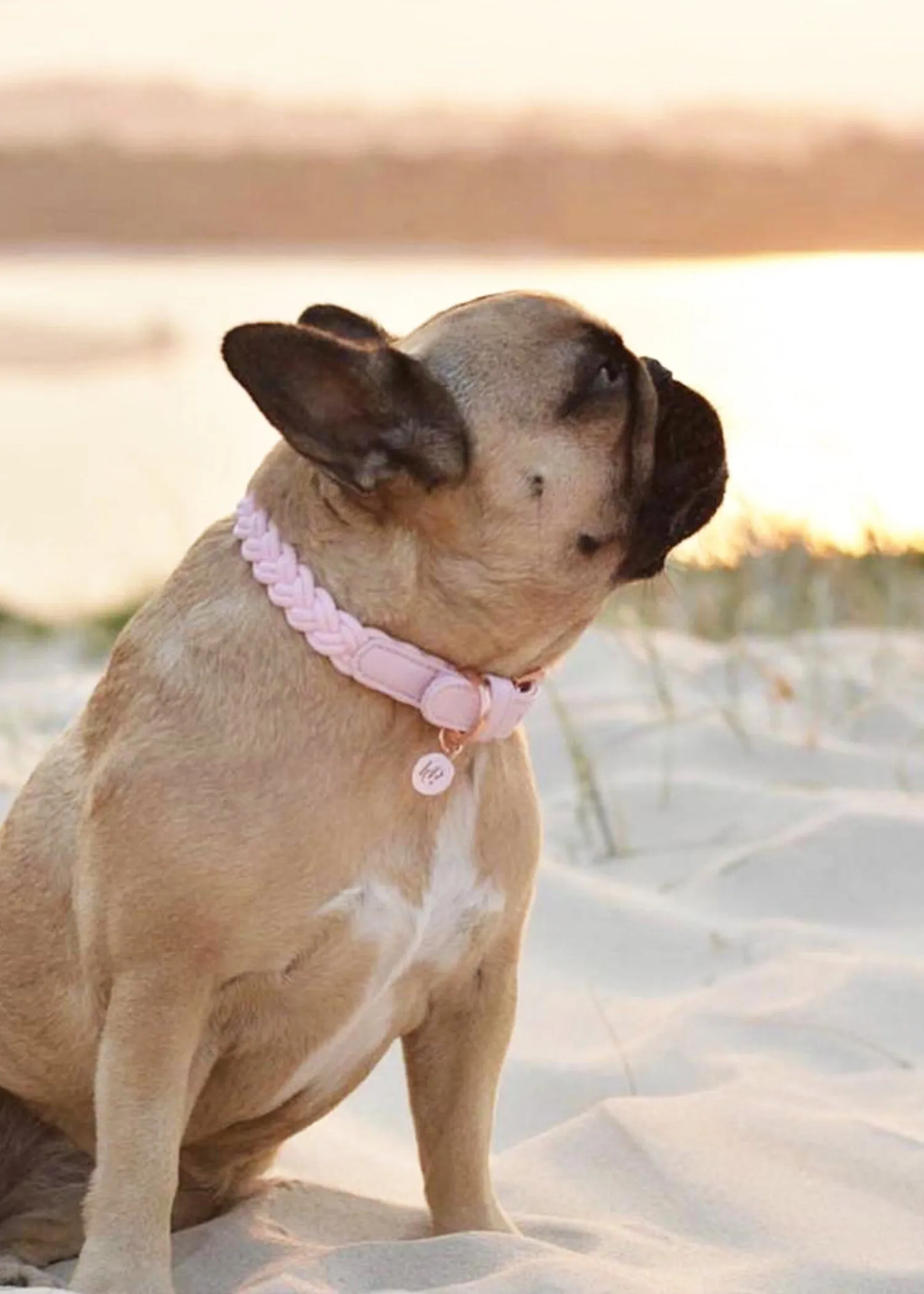 VEGAN LEATHER BRAIDED BABY PINK COLLAR